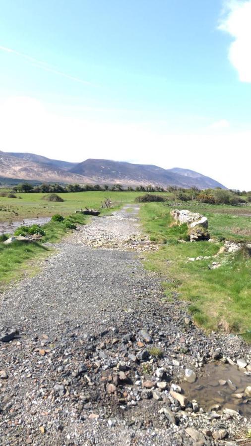 Apartamento Neadin Beag Tralee Exterior foto